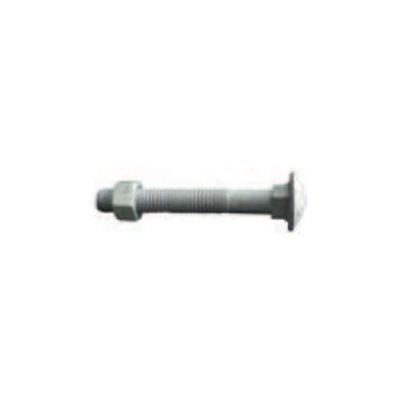 Bolt & Nut S/S Cup M12 x 100